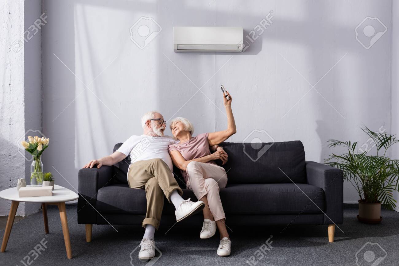 Cheerful Senior Couple Using Remote Controller Of Air Conditioner On Couch